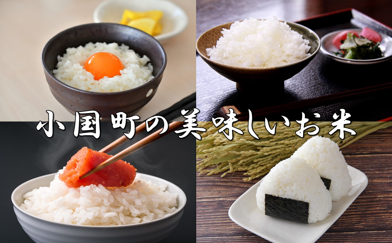 令和6年産　山形県小国町産　山形95号・15kg（5kg×3袋)