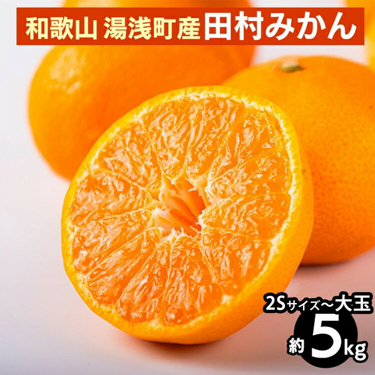 【ふるさと納税】【選べるサイズ】和歌山 湯浅町産 田村みかん｜柑橘 みかん フルーツ 果物 ※2025年11月中旬～2026年1月中旬頃に順次発送予定