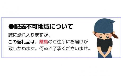 ＼先行予約／ いちご まりひめ 【ご家庭用】 約300g×4パック M～3Lサイズ （サイズ指定不可） 2027年1月頃から順次発送 / いちご まりひめ 和歌山ブランド イチゴ 和歌山 果物 フルー