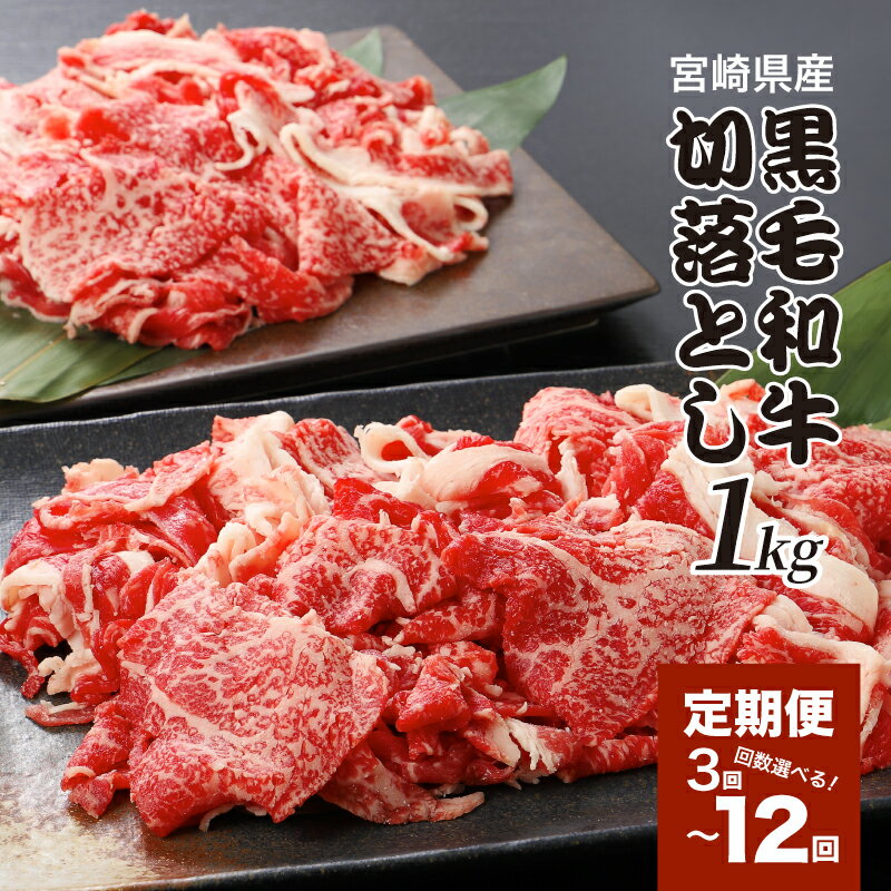 【ふるさと納税】宮崎県産黒毛和牛 贅沢切り落とし1kg(500g×2) 定期便 - お肉の定期便 牛肉 切り落とし 定期便 3回/6回/12回 定期的にお届け 毎月お届け 3ヵ月/6ヵ月/12ヵ月 1年 国産 黒毛和牛 肉じゃが/ハヤシライス/牛丼 送料無料 【宮崎県木城町】