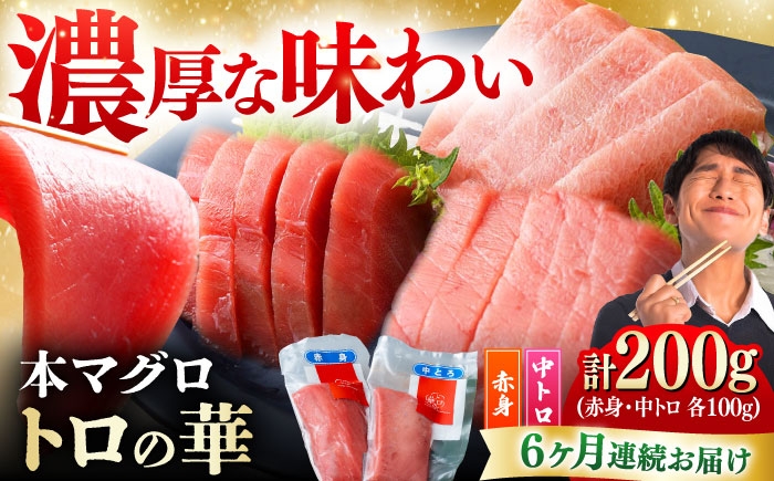 
                  【全6回定期便】対馬産 本マグロ 200g（赤身100g、中トロ100g） ≪対馬市≫【桐谷商店】 トロの華 対馬 新鮮 マグロ 赤身 トロ 鮪 刺身 [WAQ061]
                
