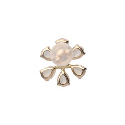 ふるさと納税 甲府市 Fresh Flower フラワーピアスC 685758 |  | 02