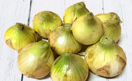 【新玉ねぎ】ひょうご安心ブランド認証 特別栽培の玉ねぎ「戎珠（えびすたま）」 ３kg 