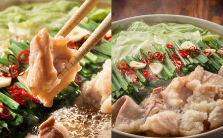 【博多名物】鶏水炊き＆もつ鍋2種(醤油味・みそ味) 満腹食べ比べセット 各2人前 岡垣町
