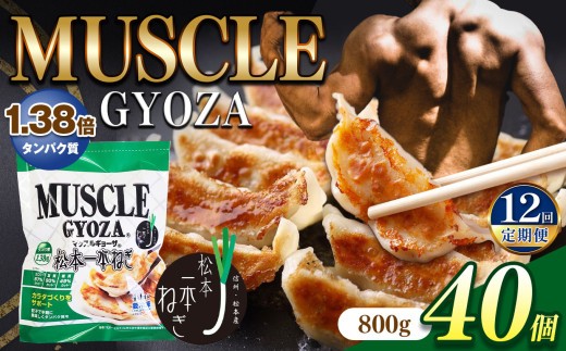 【定期便12回】MUSCLE GYOZA ～マッスルギョーザ～ 松本一本ねぎ（40個入り） | 餃子 ギョーザ 高タンパク 低糖質 低脂質 低カロリー マッスルギョーザ 長野県 松本市 信州産 ふるさと納税