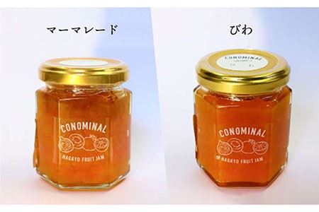 【全12回定期便】 季節の果実ジャム 毎月3本（120g/本） 長与町/アグリューム [EAI009]  瓶 個別 セット ジャム