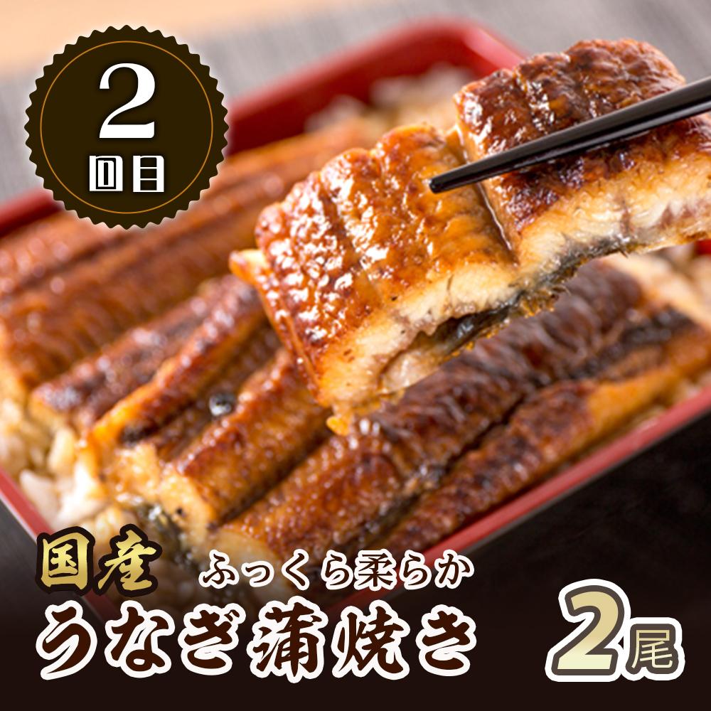 【定期便 全3回】紀州和歌山うまいもんセットA（生まぐろ・うなぎ蒲焼・熊野牛）【UT125】　XF91165_イメージ3