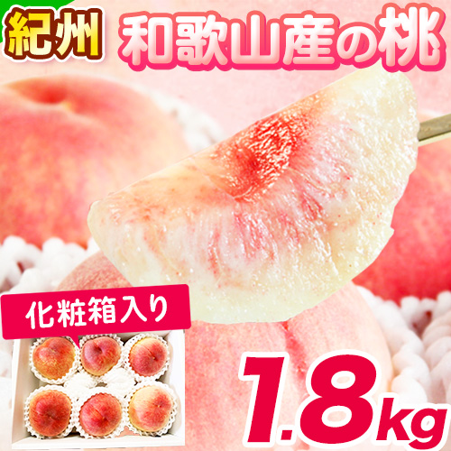 紀州和歌山産の桃　約1.8kg 5～8玉　化粧箱入 魚鶴商店 《2026年6月下旬-8月上旬より発送予定》和歌山県 日高町 モモ