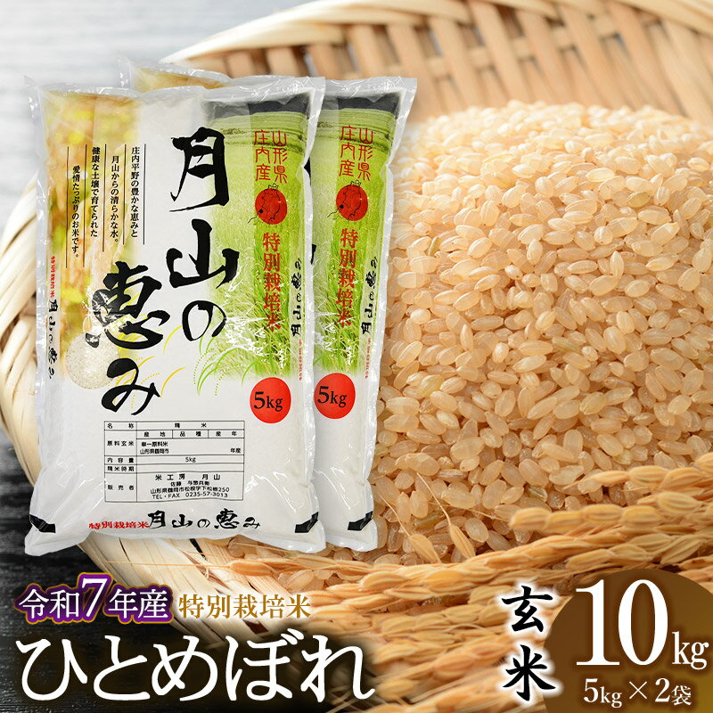 【ふるさと納税】【令和7年産先行予約】特別栽培米 ひとめぼれ【玄米】10kg（5kg×2袋） 2025年産 | 山形県 鶴岡市 ブランド米 お取り寄せ ご当地 お米 おこめ 特栽 コメ 単一米 10キロ