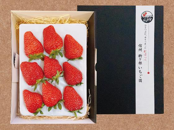 
【特選贈答用】南信州産「いちご」（5Lサイズ以上×9粒・500g）【信州駒ヶ根いちご園】[№5659-1134]
