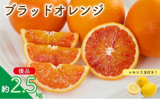 【先行予約】ブラッドオレンジ 家庭用(優品) 約2.5kg & 瀬戸内海の島レモン 3玉 セット | 柑橘 レモン みかん 蜜柑 mikan 檸檬 オレンジ ブラッドオレンジ おれんじ かんきつ セット【2026年3月下旬頃から発送予定】 瀬戸内海 愛媛県 松山市 ココオ Koko'o