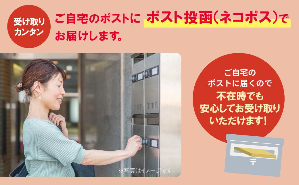 定期便 福岡有明のり 【竹】わけあり 焼き海苔(全形10枚)(年2回)