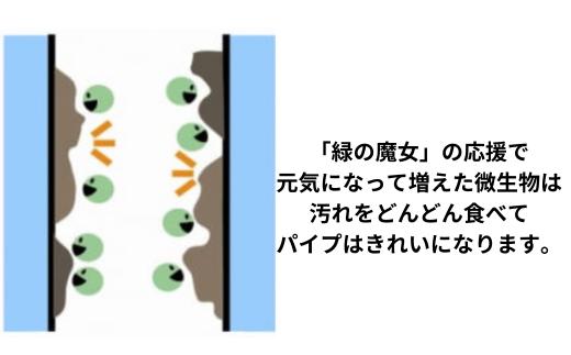 迷ったらこれ　ふるさと納税専門誌掲載品　洗濯洗剤+パイプクリーナー機能持つ緑の魔女ランドリー5L×3【洗剤 液体 環境配慮 洗濯 1万件以上の口コミ 世界中で愛される 洗濯洗剤 洗濯用洗剤 衣類洗剤 