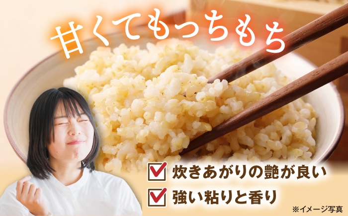 滋賀県湖北産 湖北のコシヒカリ 10kg (玄米)　米 お米 ご飯 ごはん ゴハン おにぎり 炊き込みご飯 人気 おすすめ