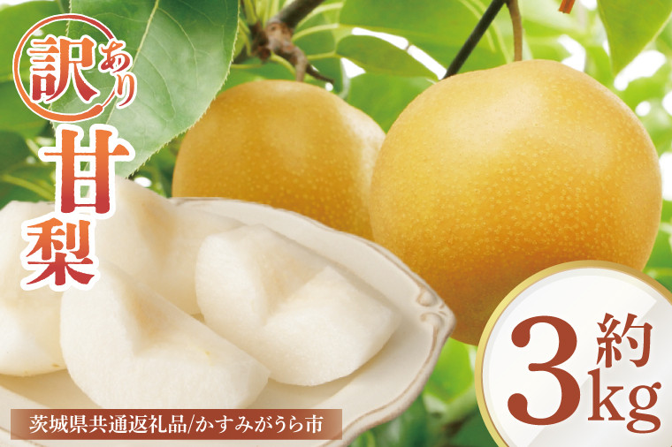 
            【8月中旬より発送】【数量限定】訳あり 甘梨（なし） 約3㎏【茨城県共通返礼品／かすみがうら市】【茨城県 水戸市 ふるさと納税 果物 くだもの フルーツ 梨 ナシ なし 採れたて 新鮮 完熟 期間限定 共通返礼品】（FW-8）
          