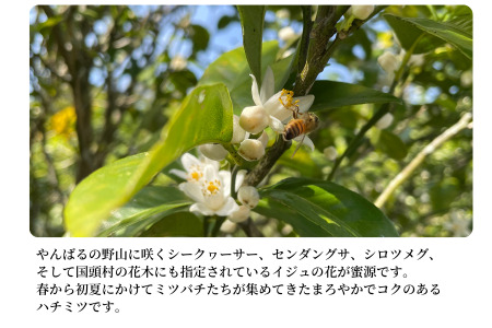 【沖縄県国頭村産】やんばるpure生蜂蜜　甘い百花蜜　180ｇ3本