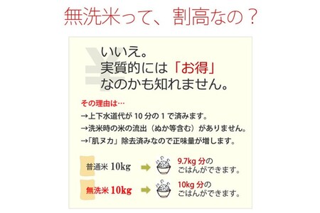 R7年度産 無洗米 5kg 福岡県産 ひのひかり　米 白米 コメ 福岡県 お米 ご飯 ごはん ヒノヒカリ国産 国産米 グルメ 食品