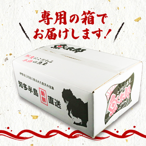 天然 鯛 干物 特大 セット 汐干し (350g～420g×3枚) 味醂干し (180g～250g×3枚) ひもの タイ 大きい 天然鯛 魚太郎 愛知県 南知多町