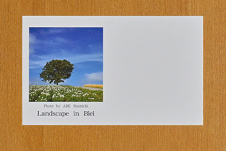 写真家　阿部俊一　名刺台紙・メッセージカード100枚(A)[005-05]