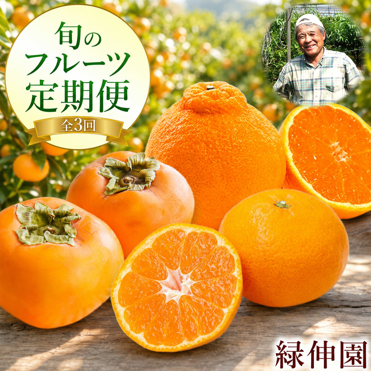 【ふるさと納税】【先行予約】『緑伸園』全3回 旬のフルーツ 定期便 みかん 5kg 柿 2.5kg 不知火 2.5kg 頒布会 《2026年9月下旬-2027年1月下旬頃出荷》 期間限定 予約受付中 熊本県玉名郡玉東町産 果物 スイーツ フルーツ デザート