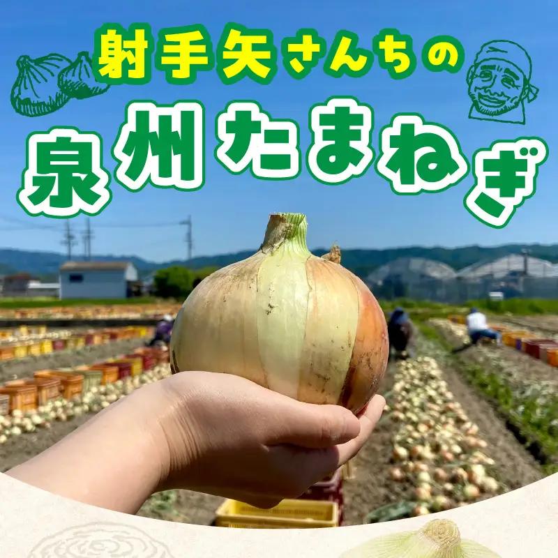 【先行予約】泉州たまねぎ 10kg 玉ねぎ たまねぎ