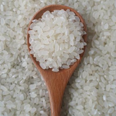 ふるさと納税 藤岡市 有機こしひかり白米450g×6袋(令和7年産)