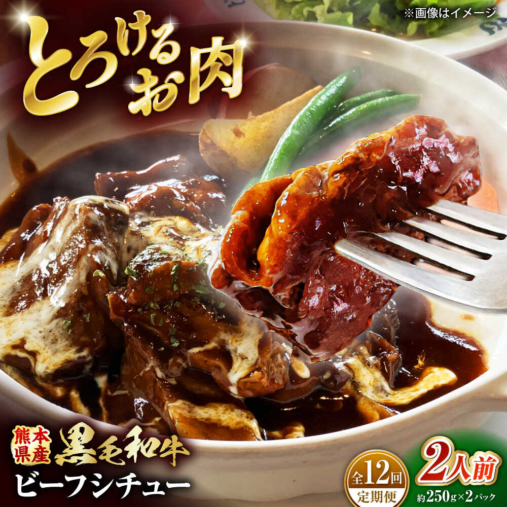 【ふるさと納税】【全12回定期便】 熊本県産 黒毛和牛 くまもと黒毛和牛 こだわりのビーフシチュー 計2パック （約250g×2パック） ビーフシチュー ビーフ シチュー 牛肉 肉 　【有限会社スイートサプライなかぞの】[ZBV110]