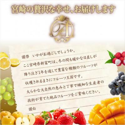 ふるさと納税 新富町 【発送月固定定期便】旬のくだもの定期便「特選コース」全12回 |  | 01
