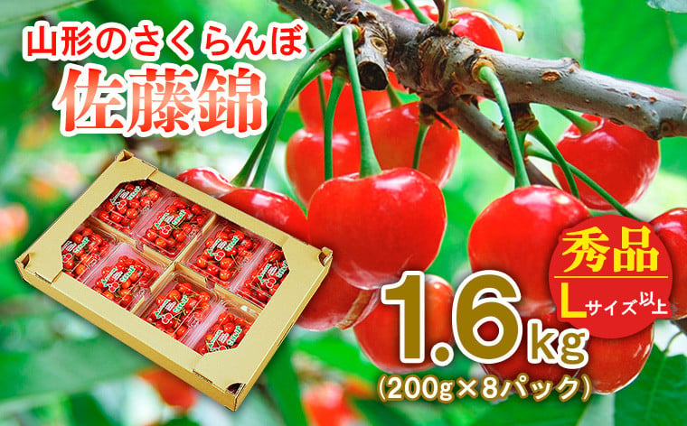 
            山形のさくらんぼ 佐藤錦 1.6kg(200g×8パック) Lサイズ以上 【令和7年産先行予約】FS24-655くだもの 果物 フルーツ 山形 山形県 山形市 2025年産
          