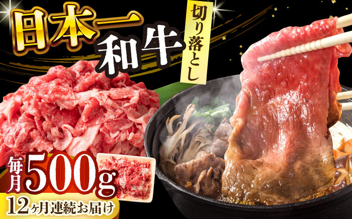 
【全12回定期便】【A4～A5】長崎和牛切り落とし　500g【株式会社 MEAT PLUS】 [DBS052]
