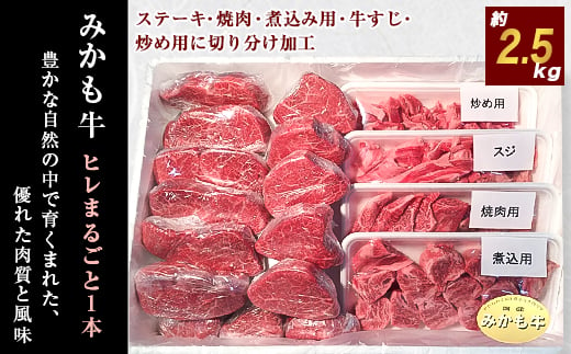 
「みかも牛」ヒレまるごと1本(約2.5kg)【1257346】
