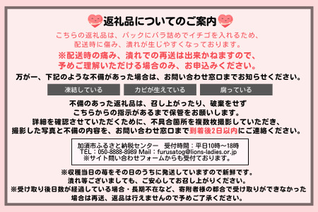 埼玉生まれの希少いちご『あまりん』（6～15粒、合計500ｇ以上）【潰れが気にならない方限定】　いちご あまりん いちご