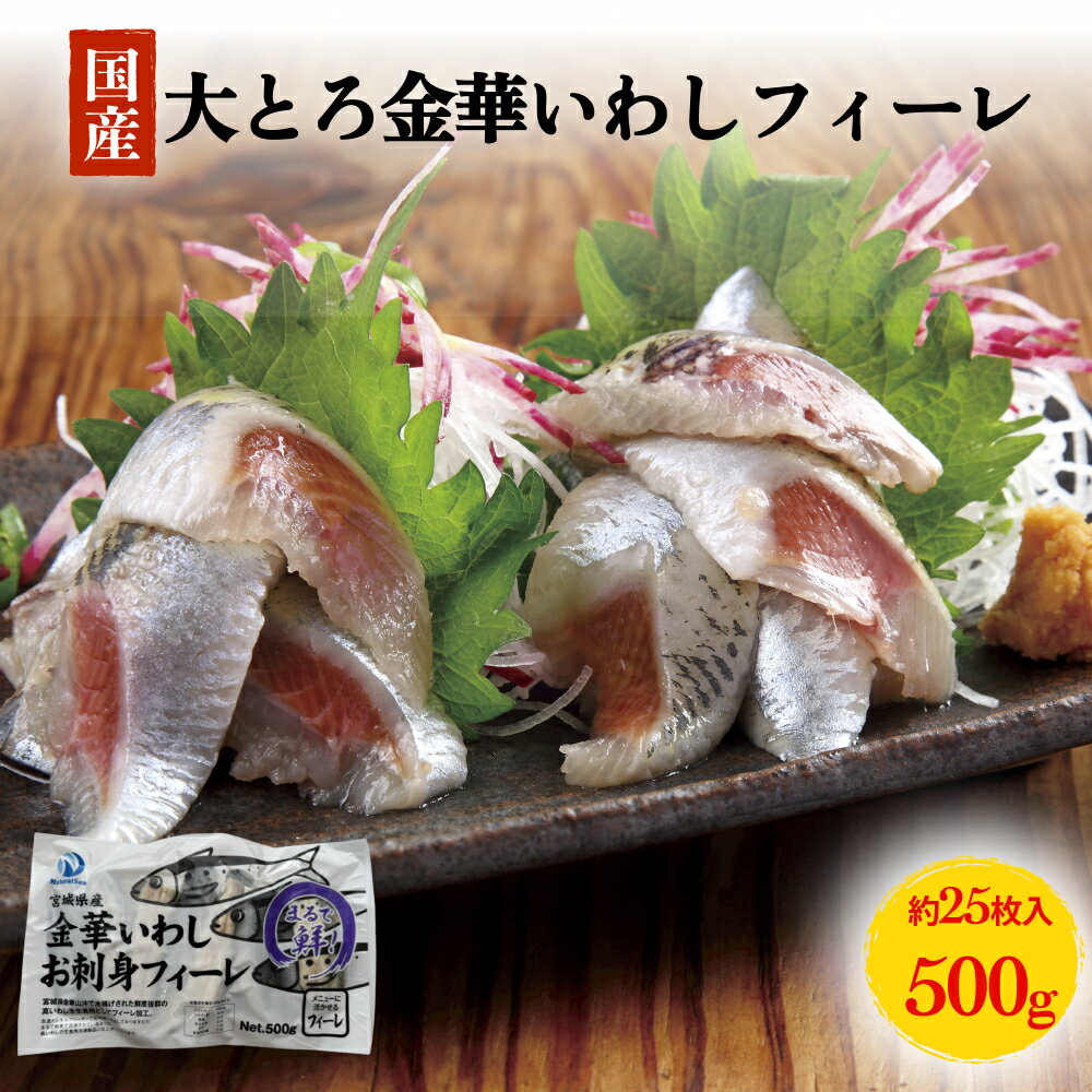 【ふるさと納税】大とろ金華いわしフィーレ 500g 生食用 石巻産 金華いわし 鰯 いわし イワシ フィレ 切身 切り身 魚 魚介 海鮮 魚介類 急速冷凍 真いわし 刺身 フライ マリネ 宮城 石巻 宮城県 石巻市