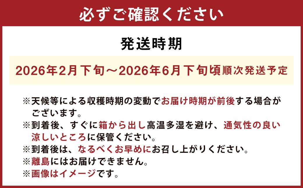 プレミアムデコ 8玉