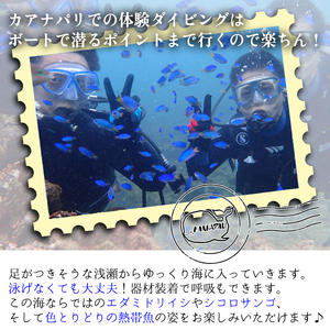 徳島最南端の海で体験ダイビング!