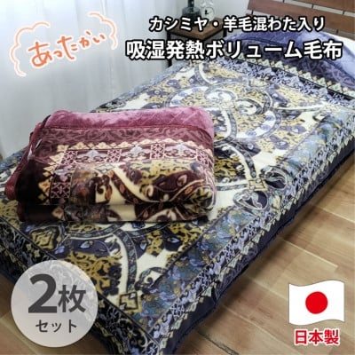 
            ＜シングル2枚組＞贅沢カシミヤウール混わた入り嵩高毛布  CAK-161-2P【1506840】
          