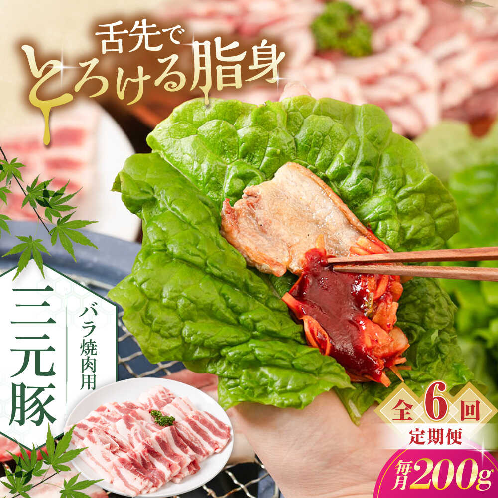 【ふるさと納税】【全6回定期便】三元豚 バラ 焼肉用 200g《喜茂別町》【平田牧場】 肉 豚肉 豚バラ バラ カルビ 焼肉 スライス 冷凍配送 定期便 北海道 平田牧場 [AJAP153] 48000 48000円
