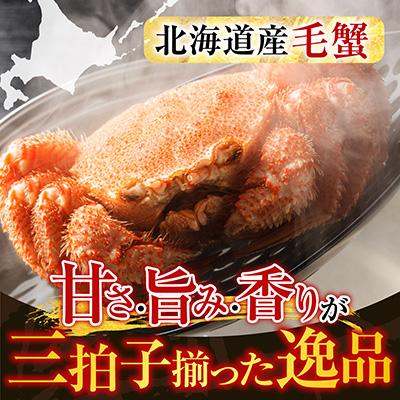 ふるさと納税 根室市 根室海鮮市場<直送>ボイル毛がに600〜750g×1尾 B-28124 |  | 01