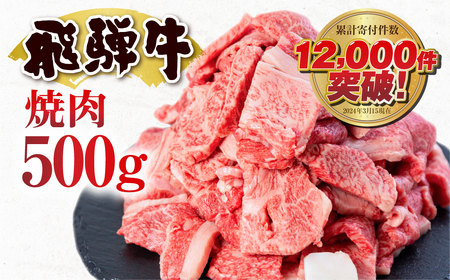 訳あり 飛騨牛 焼肉用 500g 切り落とし 牛肉 肉 バーベキュー セット 和牛 焼き肉 訳アリ 部位おまかせ ウデ バラ モモ肉 14000円 [S811] 年内配送 年内お届け