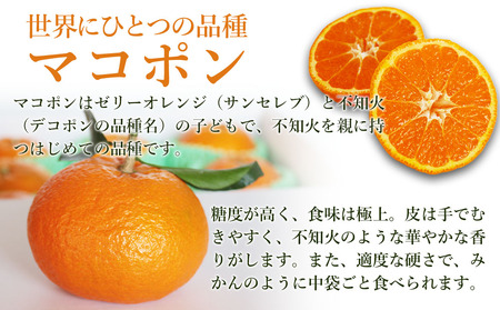 【先行予約】紅モンスター マコポン5玉 | フルーツ 果物 くだもの 果実 柑橘 柑橘類 まこぽん マコポン オレンジ ゼリーオレンジ 不知火 国産 中津市産 産地直送 大分県 中津市