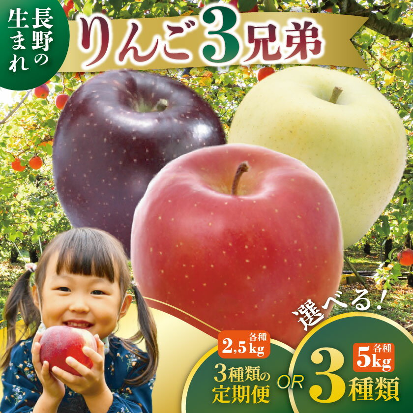【ふるさと納税】 ＊2026年度発送＊ 『長野生まれのりんご三兄弟』品種が選べる！秋映・シナノスイート・シナノゴールド　又は定期便 // 長野県 オリジナル品種 南信州 甘い 新鮮 厳選 贈答 JA13 JA12 JA14 JA42