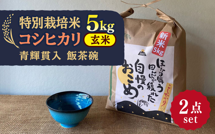 
先行予約 【令和6年産新米】 玄米 コシヒカリ 特別栽培米 （5kg） + 【美濃焼】 青輝貫入 飯茶碗 【山松加藤松治郎商店】 [TEU036]
