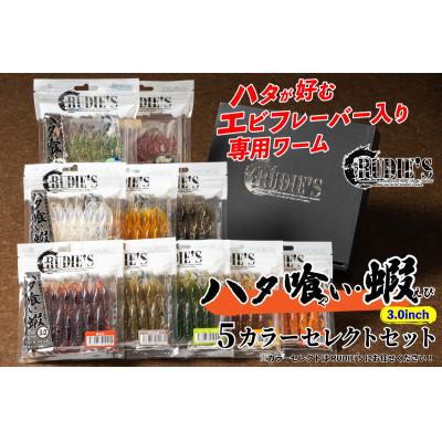 ふるさと納税 飯塚市 RUDIE‘Sのハタ喰い・蝦 3.0inch 5カラーセレクトセット(5袋) 釣り具 ルアー