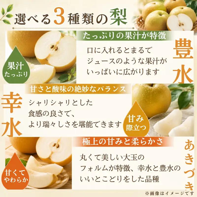 梨 白鳳梨（豊水）3L  14玉 ※お届けは9月上旬から9月中旬頃の予定 梨 【hkns0001】