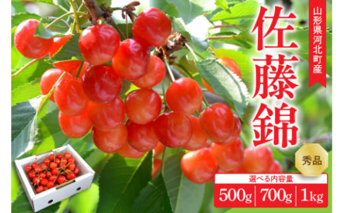 選べる内容量！【令和8年産】さくらんぼ 佐藤錦 500g/700g/1kg L玉以上 秀品 山形県産【山形eLab】フルーツ 人気 贈答 ふるさと納税 河北町 2026年産