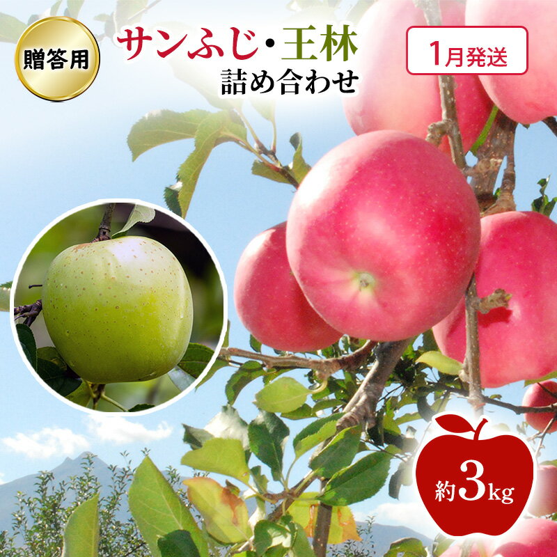 【ふるさと納税】【1月発送】贈答用 サンふじ・王林 詰め合わせ 約3kg 果物類 フルーツ 林檎 リンゴ 鶴田町 青森県 おやつ デザート　お届け：2027年1月上旬～2027年1月下旬