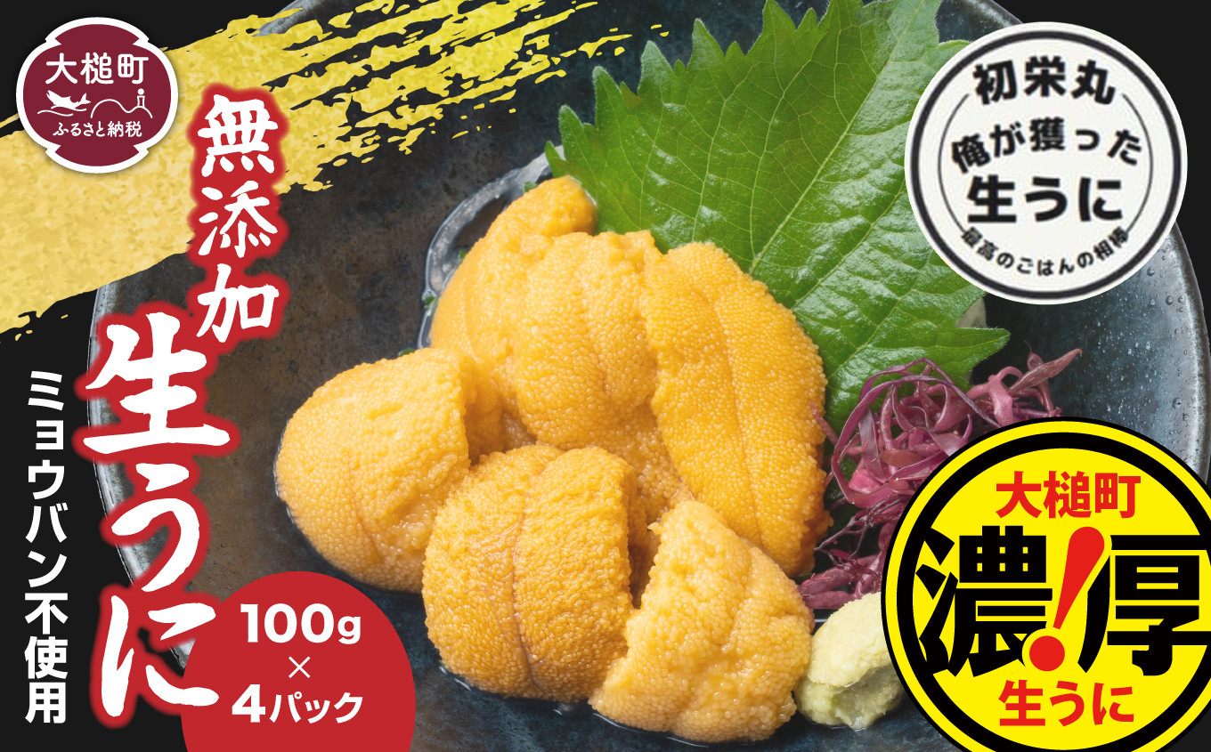 
            三陸産生うに100g×4パック【令和8年6月発送】【配送日指定不可】【35】初栄丸
          