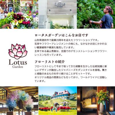 ふるさと納税 酒田市 心を伝える花束　キモチ「おめでとう OMEDETO」 |  | 03