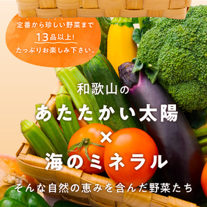 定期便 旬の新鮮野菜セットA【毎月お届け12回】たっぷり13品以上【8004-2】