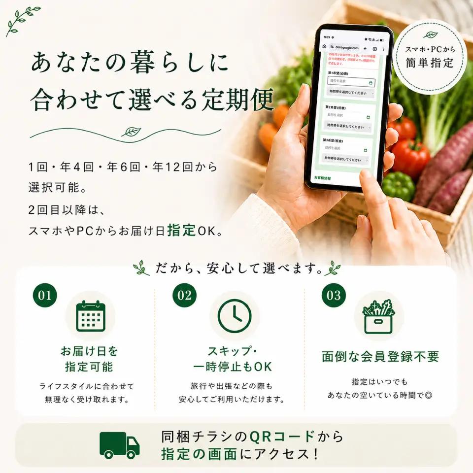 【年4回】高知から直送！旬の季節のお野菜定期便（7~9品）2回目以降着日指定可能 産地直送 旬の時期にお届け